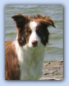 juni 2005